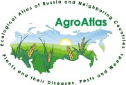 groAtlas logo